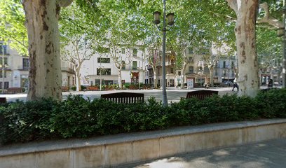 Figueres - Delmont Software S.C.C.L.