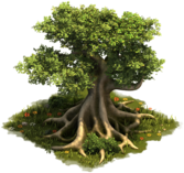 Ceiba Gigante