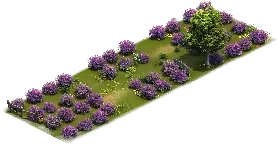 Huerto de Lavanda