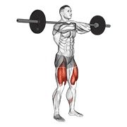 barbell front squat (barbell)