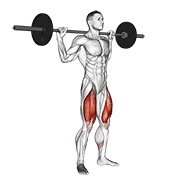 barbell full squat (barbell)