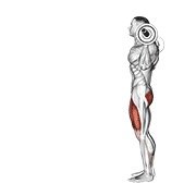 barbell lunge (barbell)
