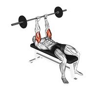 barbell lying triceps extension (barbell)
