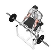 barbell preacher curl (barbell)