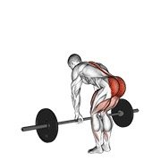 barbell romanian deadlift (barbell)