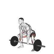 barbell sumo deadlift (barbell)