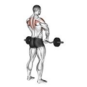 barbell upright row (barbell)