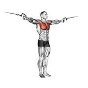 cable cross-over variation (cable)