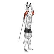 cable overhead triceps extension (rope attachment) (cable)