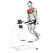 chest dip (body weight)