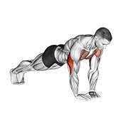 diamond push-up (body weight)