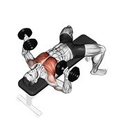 dumbbell bench press (dumbbell)