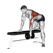 dumbbell one arm bent-over row (dumbbell)