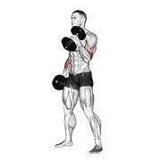 dumbbell hammer curl (dumbbell)