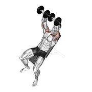 dumbbell incline bench press (dumbbell)