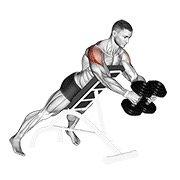 dumbbell reverse fly (dumbbell)