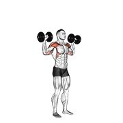 dumbbell standing overhead press (dumbbell)