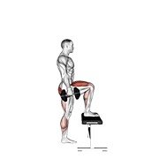 dumbbell step-up (dumbbell)