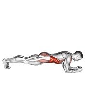 front plank with twist (body weight)