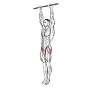 hanging leg raise (body weight)