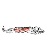 jackknife sit-up (body weight)