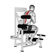 lever back extension (leverage machine)