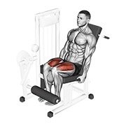 lever leg extension (leverage machine)