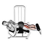 lever lying leg curl (leverage machine)