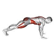 mountain climber (body weight)