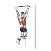 pull-up (body weight)