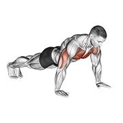 push-up (body weight)