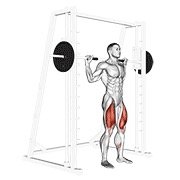 smith squat (smith machine)