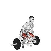 trap bar deadlift (trap bar)