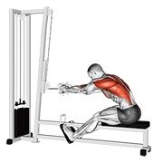 cable seated row (cable)