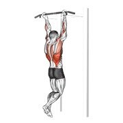 chin-up (body weight)