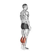 bodyweight standing calf raise (body weight)