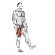 single leg squat (pistol) male (body weight)