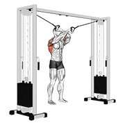cable lat pulldown full range of motion (cable)