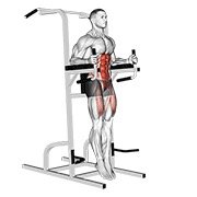 captains chair straight leg raise (body weight)